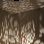 TwistyTreeShadows